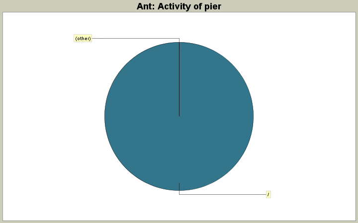 Activity of pier